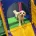 Biewer Terrier