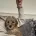 Cavapoo