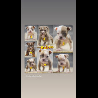 Dorset Olde Tyme Bulldogge