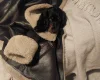 Cocker Spaniel (Working)
