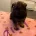 German Shepherd (Alsatian)
