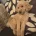 Toy Poodle