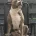 Staffordshire Bull Terrier