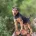 Lakeland Terrier