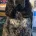 Cocker Spaniel (Show)