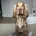 Cocker Spaniel (Show)