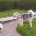 Saarloos Wolfdog