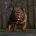English Bulldog
