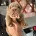 English Bulldog