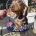 Dachshund (Smooth Haired)
