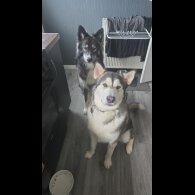 Utonagan - Both