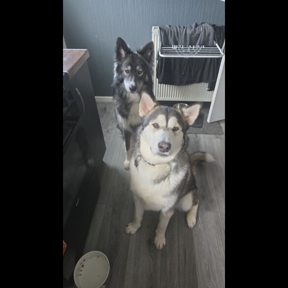 Utonagan - Both