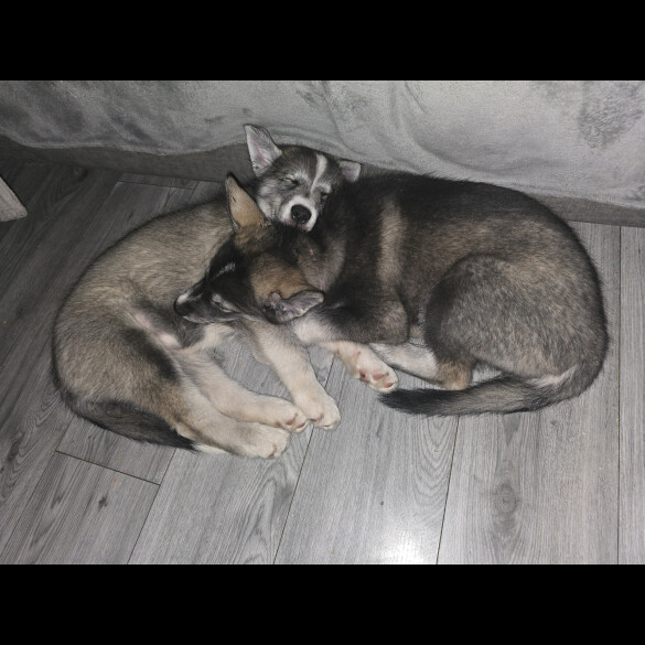 Utonagan - Both