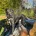Patterdale Terrier