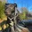 Patterdale Terrier