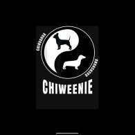 Chiweenie - Both