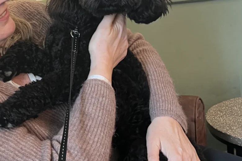 Miniature Poodle