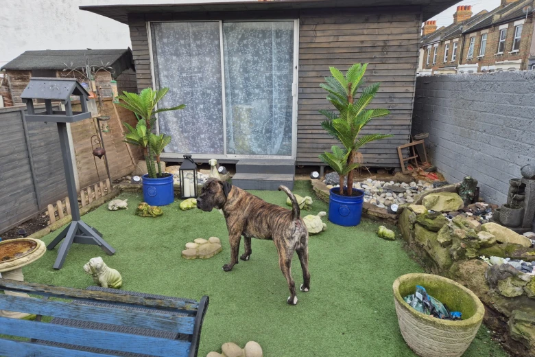 Presa Canario