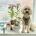 Cockapoo