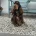 Cocker Spaniel (Show)