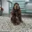 Cocker Spaniel (Show)