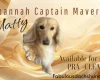 Dachshund (Miniature Long Haired)