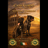Cane Corso