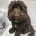 Cockapoo