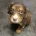 Cocker Spaniel (Working)