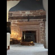 Cocker Spaniel (Working)