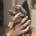 Dachshund (Smooth Haired)