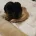 Dachshund (Smooth Haired)