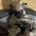 Frug