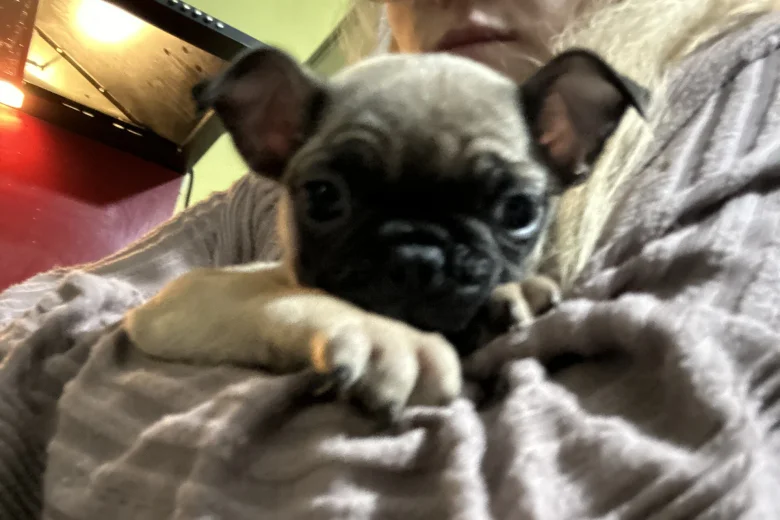 Frug