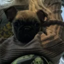 Frug
