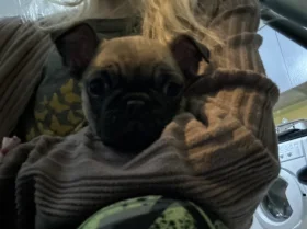 Frug
