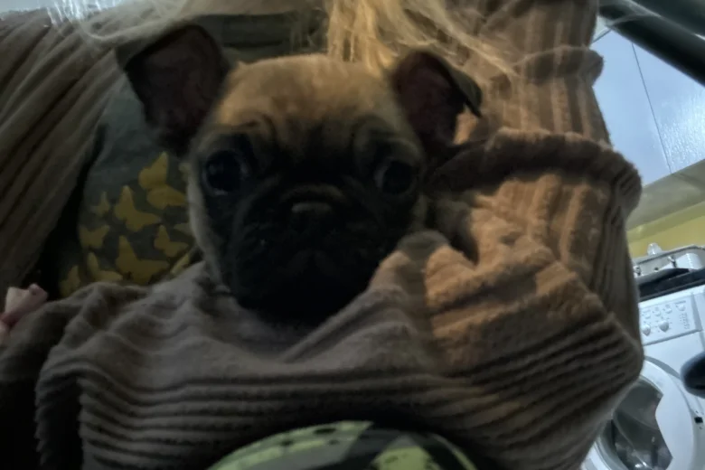 Frug