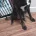 Staffordshire Bull Terrier
