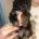 Poochon