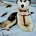 Siberian Husky