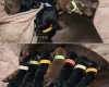 Dachshund (Miniature Smooth Haired)