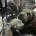 Shar Pei