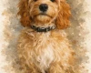 Cockapoo