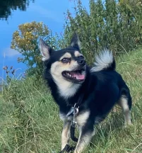 Billy