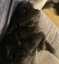 Axel