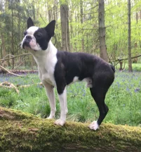 Derek