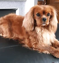 Billy