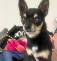 Pablo