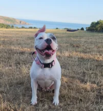 Mika