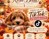 Cockapoo